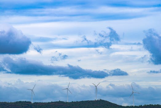 Taming the Coastal Breeze: What You Need to Know About Gulf Wind Technology
