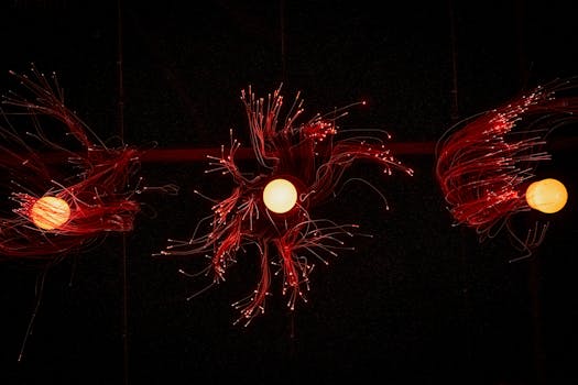 Orlando Florida Lifestyle: Beyond the Magic Kingdom