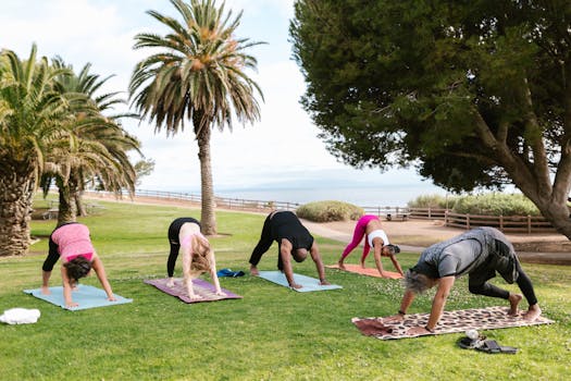 Navigating Your Wellness Journey: A Practical Look at Noah Palomino Health Center