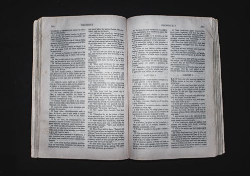 Steppe, Scripts, and Second Tongues: Unpacking Mongolia’s Bilingual Education Odyssey