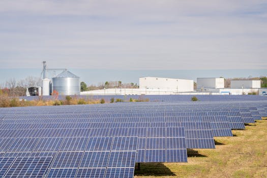 Beyond Algorithms: How Cognit Technology Solutions Are Rewriting Our Digital DNA