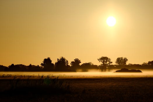 Beyond the Sunrise: A New Dawn in Personalized Health at Rising Sun Health Center