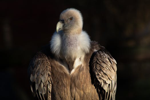 Decoding SST in Education: Beyond the Acronym